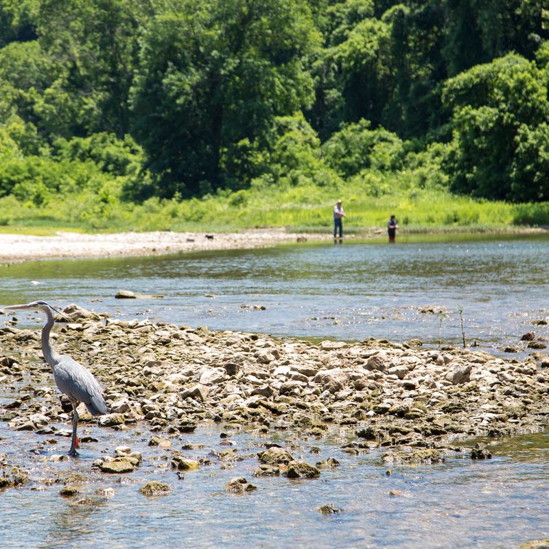 Spavinaw Lake Oklahoma's Official Travel & Tourism Site